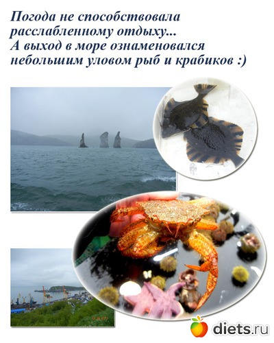 Море, альбом: Лето на Камчатке