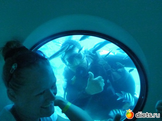 4 ����: ��� �����