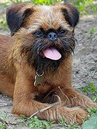 ��������� ��:) �������,�� �������� ������� ������ ������� ������!