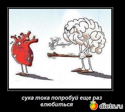 ������ ���..