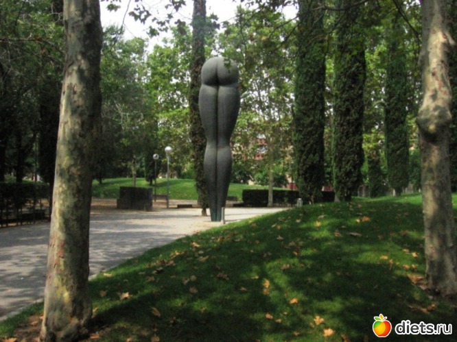 38 ����: ��������� - ������ ���!