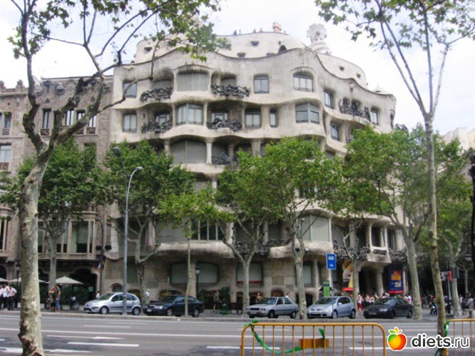 41 ����: ��������� - ������ ���!