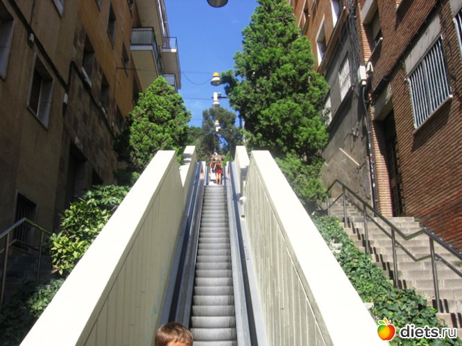 61 ����: ��������� - ������ ���!