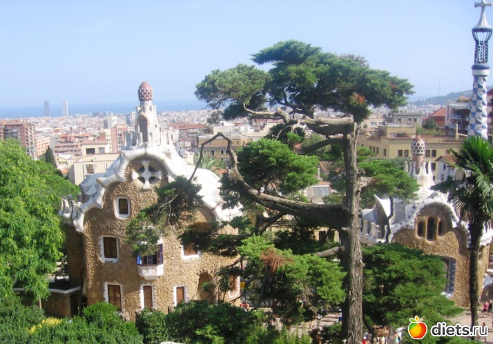 65 ����: ��������� - ������ ���!