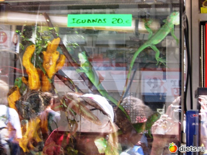 105 фото: Барселона - любовь моя!