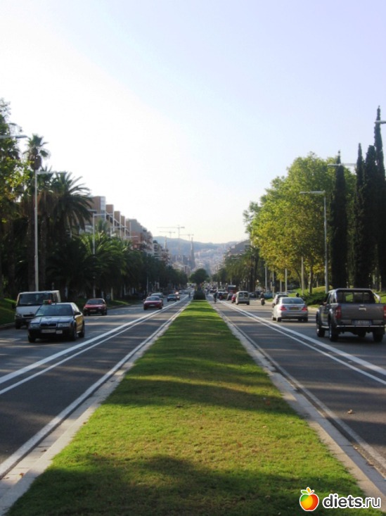 115 фото: Барселона - любовь моя!