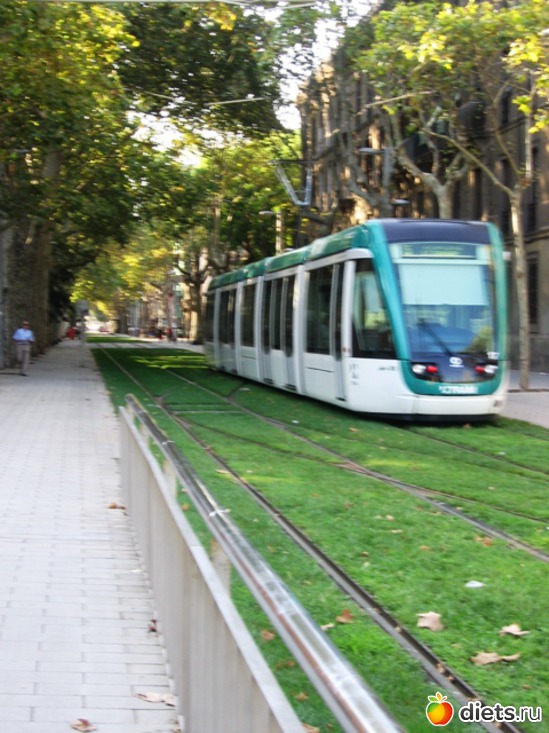 116 фото: Барселона - любовь моя!