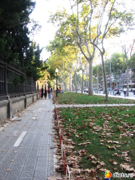 118 фото: Барселона - любовь моя!