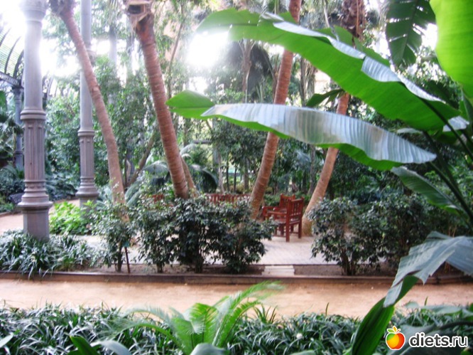 121 ����: ��������� - ������ ���!