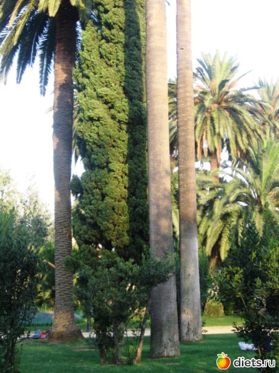 124 ����: ��������� - ������ ���!