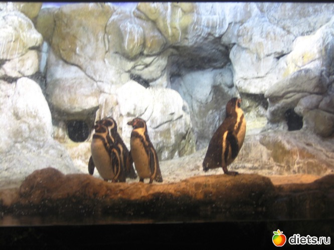 130 ����: ��������� - ������ ���!