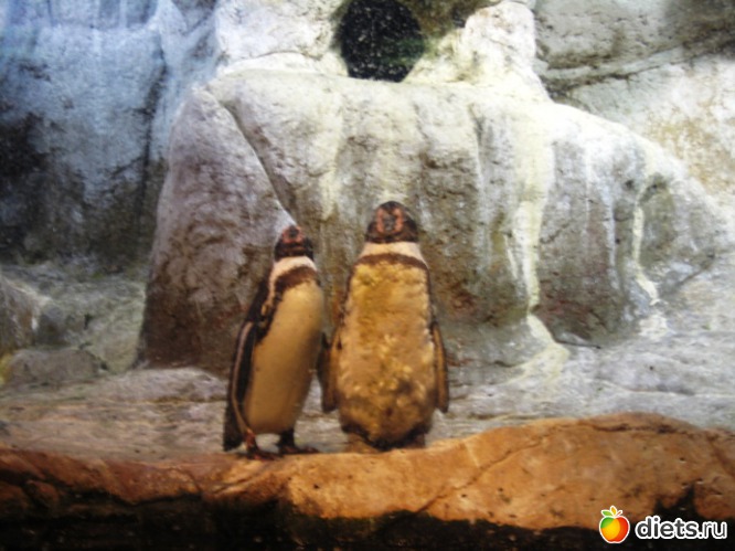 131 ����: ��������� - ������ ���!