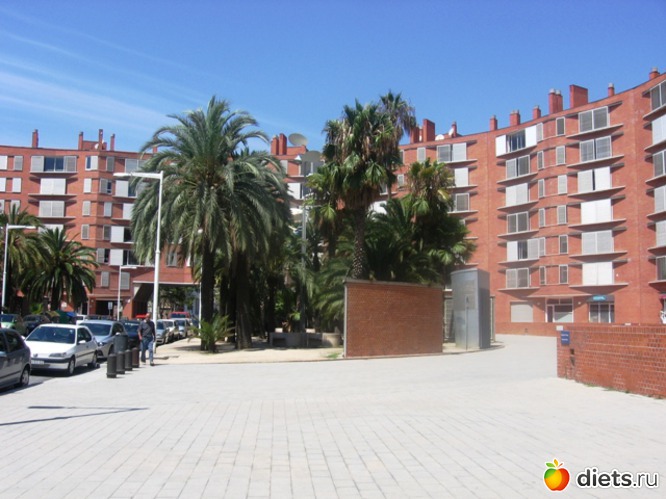 75 фото: Барселона - любовь моя!