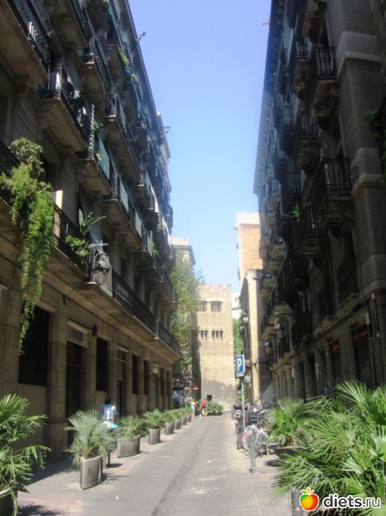 82 ����: ��������� - ������ ���!