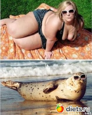 Обе толстушки