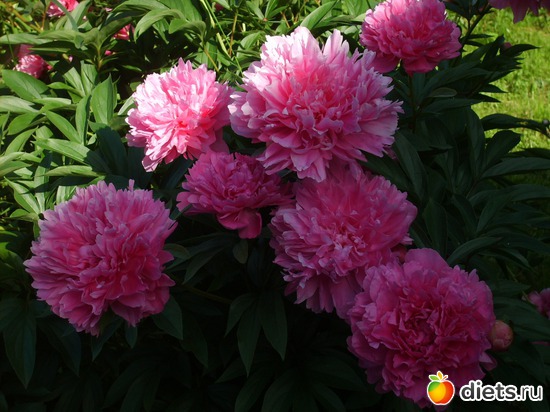 6 ����: �������� � ���� �������