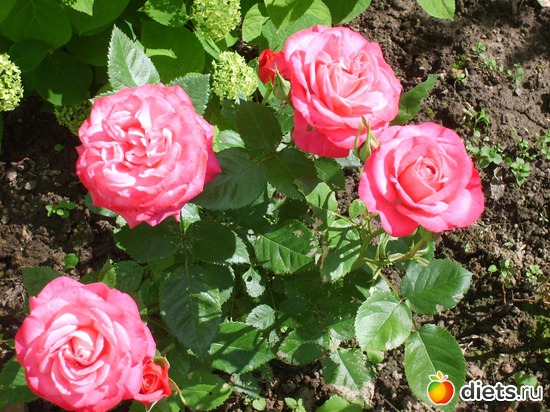 7 ����: �������� � ���� �������