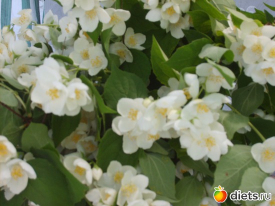 8 ����: �������� � ���� �������