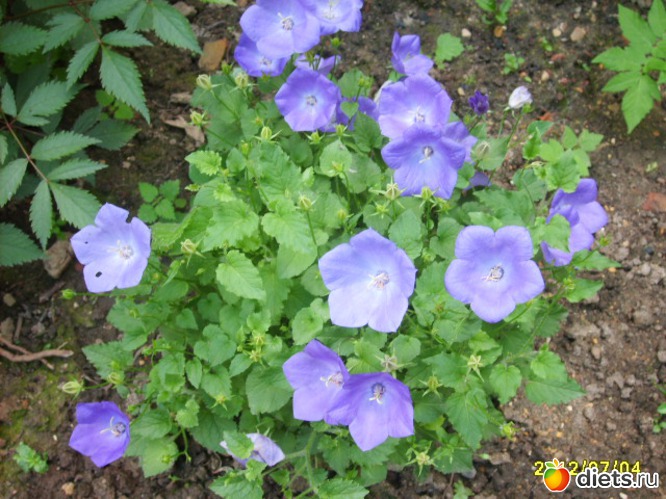 9 ����: �������� � ���� �������