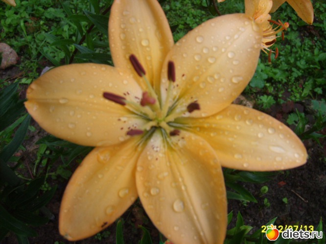 10 ����: �������� � ���� �������