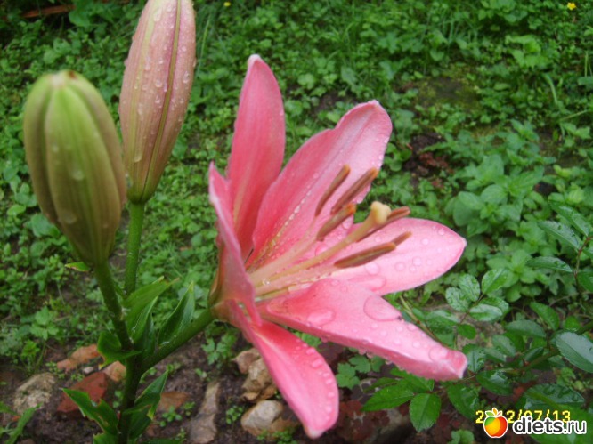 11 ����: �������� � ���� �������