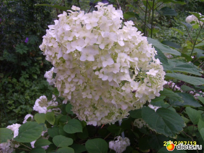 12 ����: �������� � ���� �������