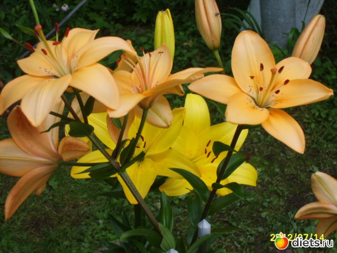 14 ����: �������� � ���� �������