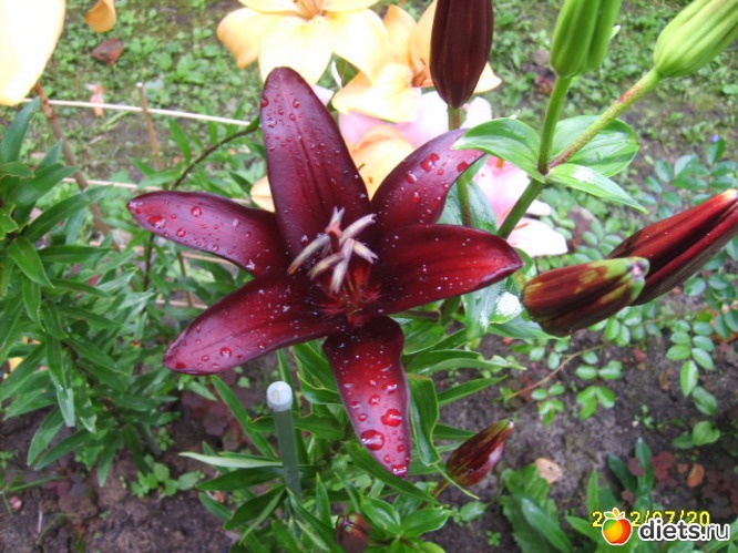 16 ����: �������� � ���� �������