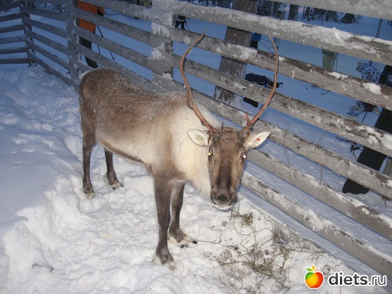 16 фото: Это я