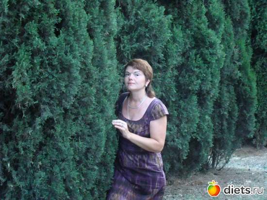 24 ����: ���� ����