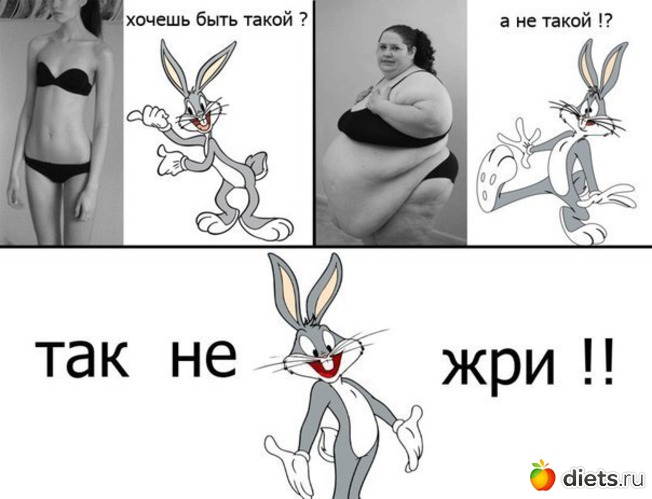 26 ����: ���������