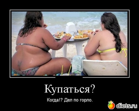 38 ����: ���������