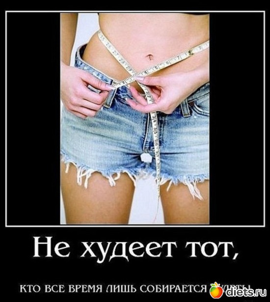 40 ����: ���������