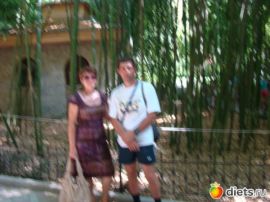 28 ����: ���� ����