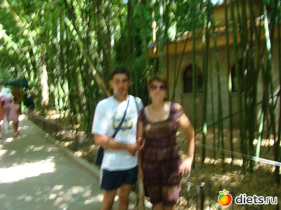 29 ����: ���� ����