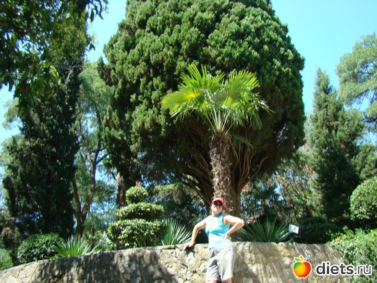 35 ����: ���� ����