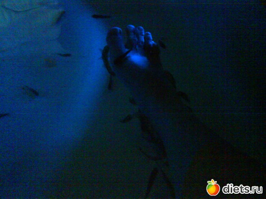 22 фото: Это я