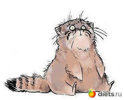 ������ �������� ����� ����� ������ ������� �������� � ��� ��� �������� ������� � ���������� �� �������