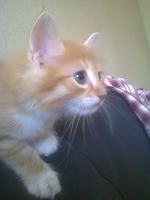 Третий день на "Питьевой"