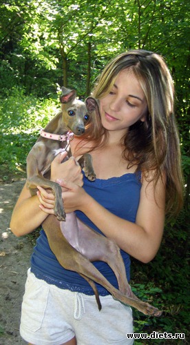 Моя любимая собачка левретка-Кимберли))), альбом: я