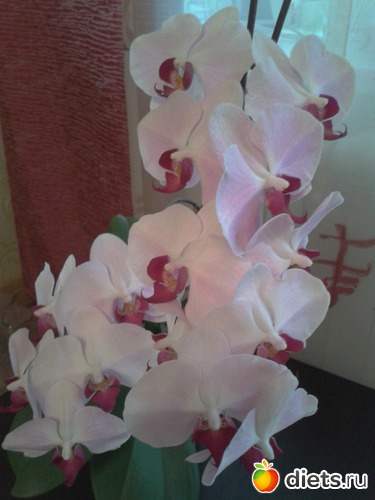 7 ����: �����