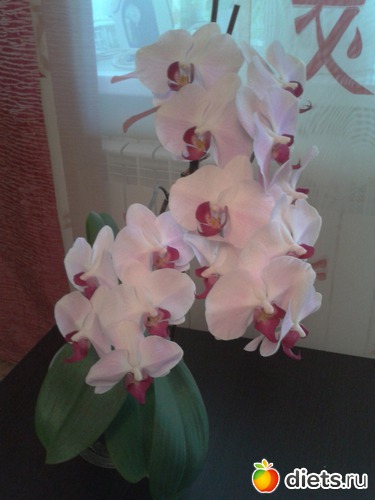 8 ����: �����