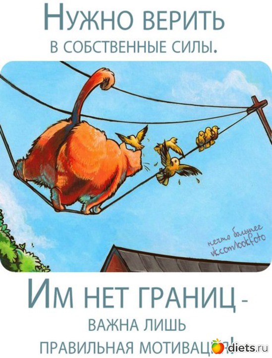 105 ����: ������