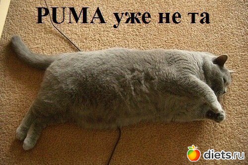 ���������� ����))))