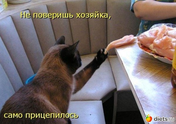 11 ����: ���������� ����))))