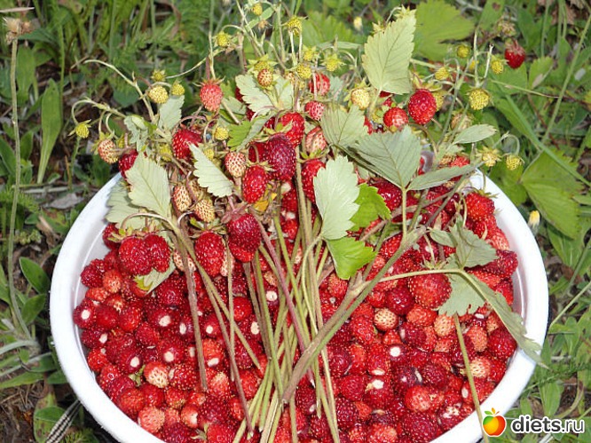 7 ����: ��� ������� �����