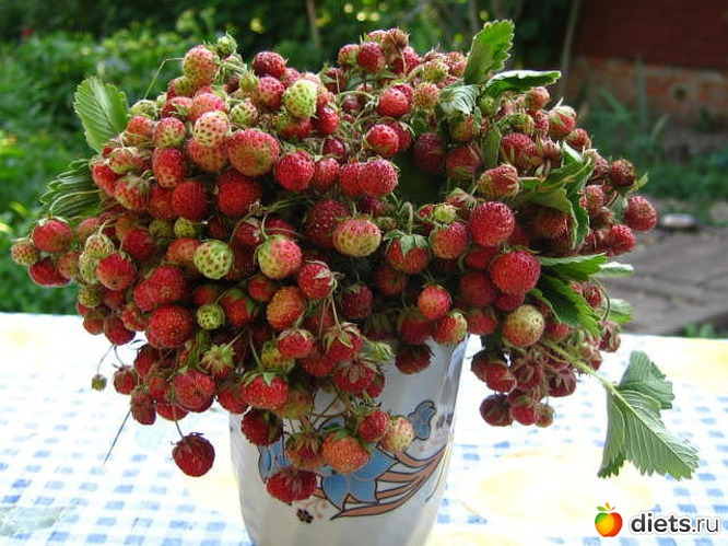 8 ����: ��� ������� �����