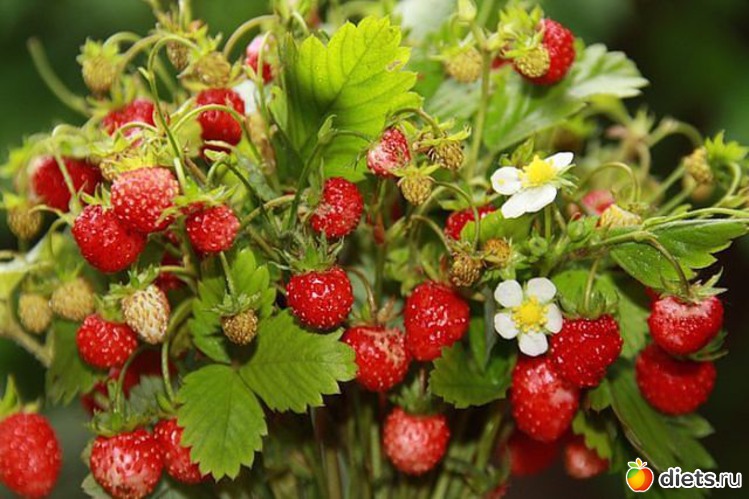 9 ����: ��� ������� �����