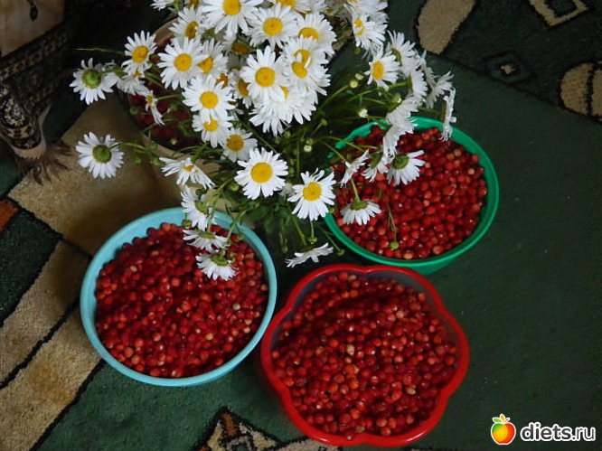 11 ����: ��� ������� �����