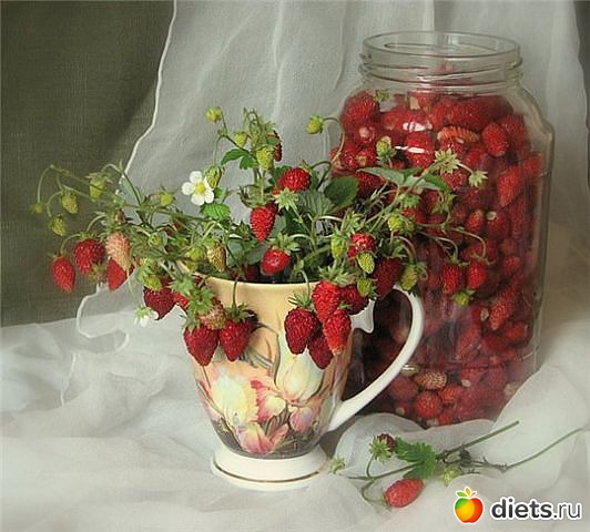 ��� ������� �����